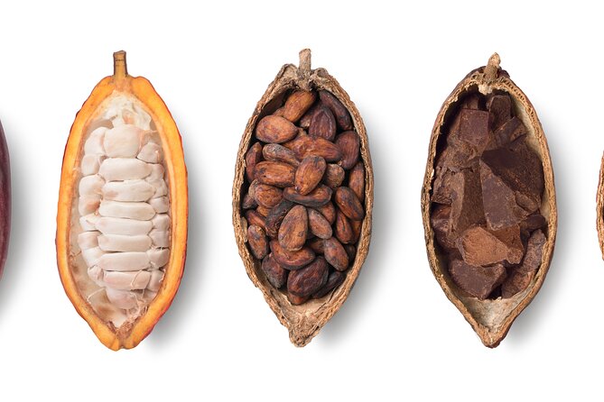 Swiss Chocolate Tasting Experience | Basel - Where to Meet on Binningerstrasse 15 and How to Time It