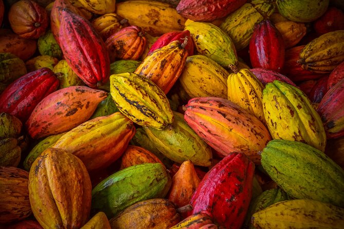 Swiss Chocolate Tasting Experience | Basel - The Expert Talk That Actually Helps You Taste Better