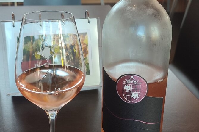 Swiss Vineyard Wine Tasting Tour in Vaud - Lutry wine tasting: learning the basics before you get to judge the wine