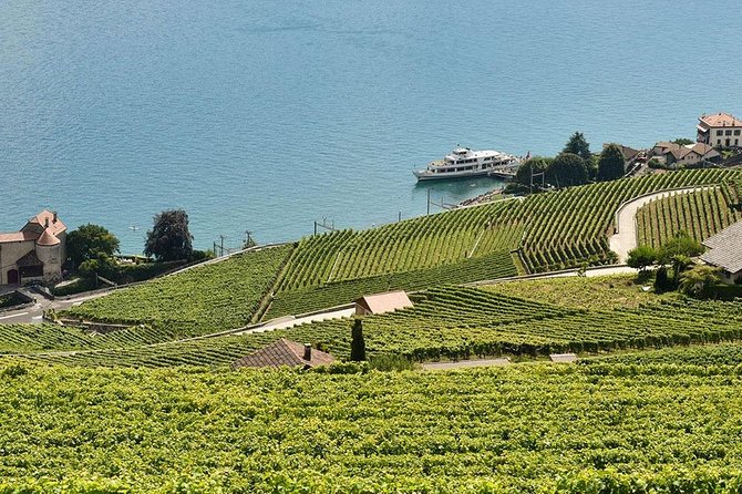 Swiss Wine Tasting at Lavaux Vineyards: Private Trip from Geneva - Key Highlights You Should Not Skip