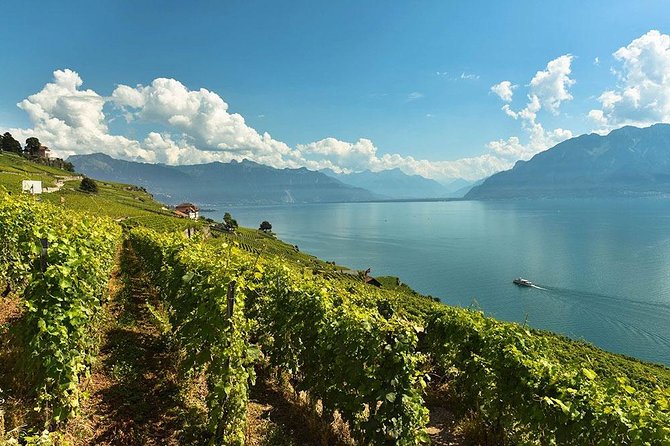 Swiss Wine Tasting at Lavaux Vineyards: Private Trip from Geneva - Lavaux Vineyard Terraces, and Why This Wine Stop Feels Special