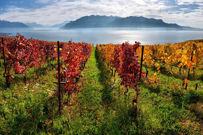 Swiss Wine Tasting at Lavaux Vineyards: Private Trip from Geneva - Timing Your 8 Hours So It Does Not Feel Rushed