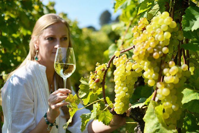 Swiss Wine Tasting at Lavaux Vineyards: Private Trip from Geneva - Price and Value for a Private Group Up to 3