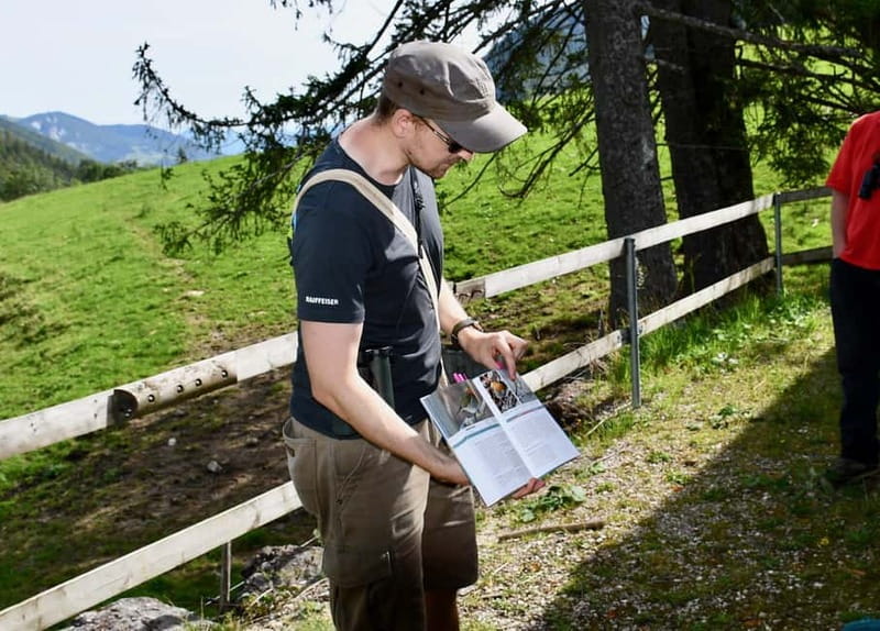 Switzerland: Private nature safari with a local guide. Check out the Alps, lakes, and more - Key things you will notice fast