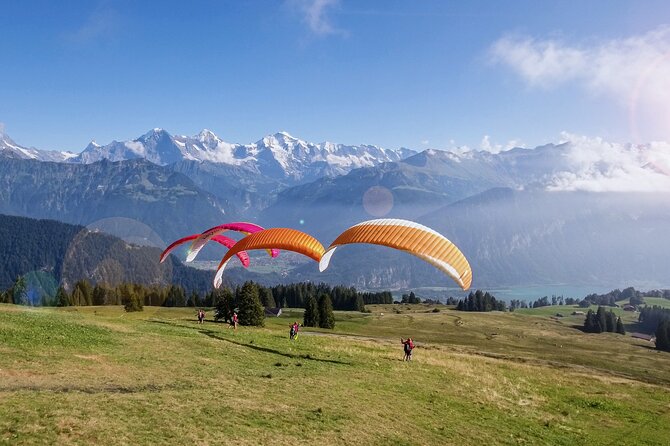 Tandem Paragliding Experience with Transport from Interlaken - Winter Tips: Snowy Trees, Cold Hands, and Staying Comfortable