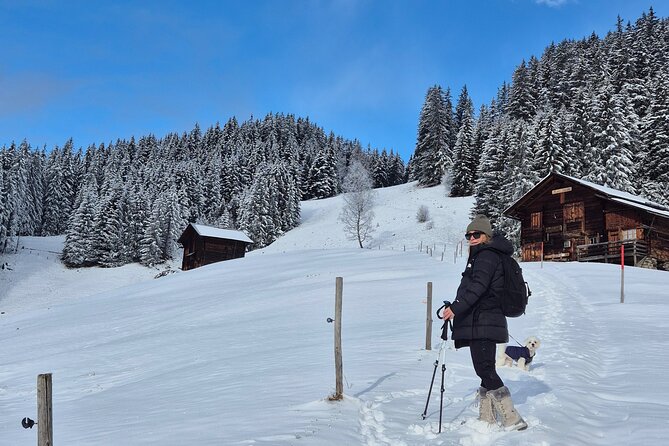 The best Sunset hike with Cheese Fondue - Key Highlights You Should Know