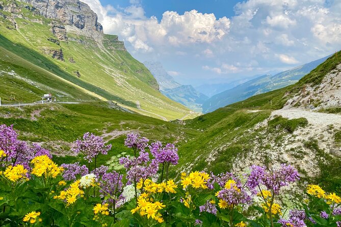 The natural wonders of Switzerland: private tour from Basel (1 day) - Canton of Uri viewpoints and the optional 2 times 45 minutes hike
