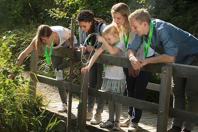 Thun Foxtrail Treasure - Why this Foxtrail Treasure in Thun feels different than a normal walk