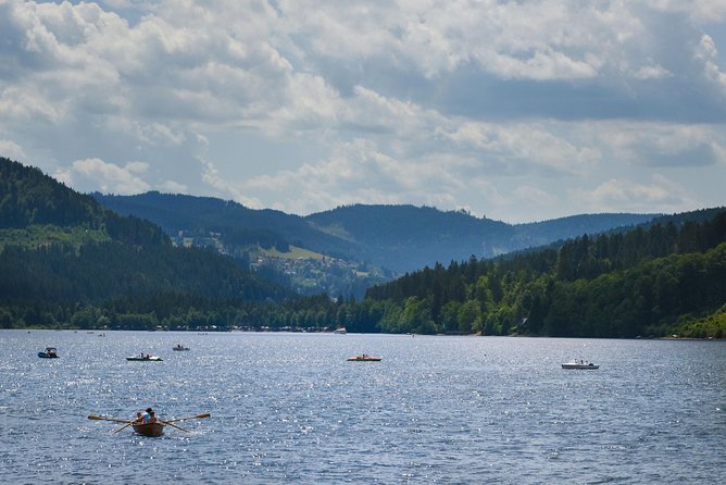 Trip from Zurich to Germany's Black Forest & Swiss Rhine Falls - Private pickup and the 9-hour rhythm (how you avoid a stressful day)