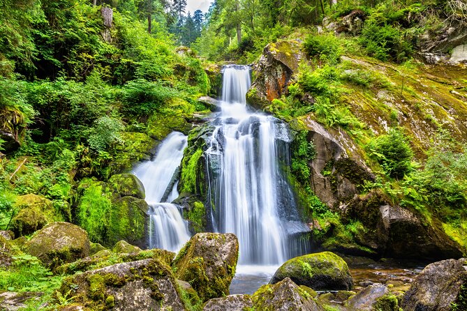 Trip from Zurich to Germany's Black Forest & Swiss Rhine Falls - Lake Titisee: your calm reset with walking time and crafts shops