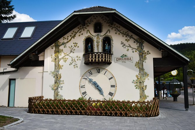 Trip from Zurich to Germany's Black Forest & Swiss Rhine Falls - Price and value for a private group up to 3