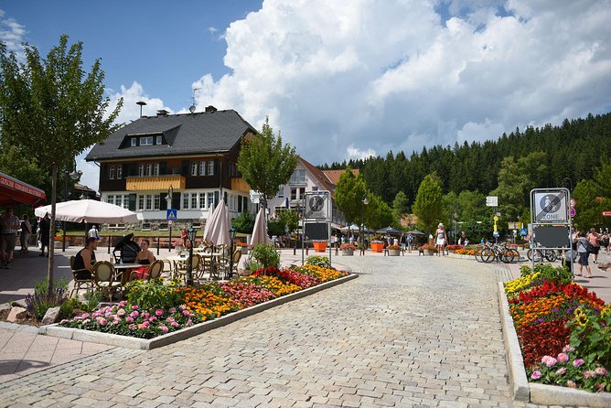 Trip from Zurich to Germany's Black Forest & Swiss Rhine Falls - Should you book this Zurich to Black Forest and Rhine Falls day trip?