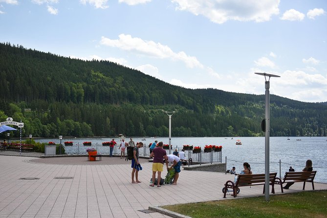Trip from Zurich to Germany's Black Forest & Swiss Rhine Falls - Rhine Falls: where included entry buys you real time and options