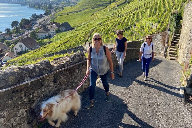 Vine Stories: Lavaux & Lutry wine walk - Key highlights you should care about