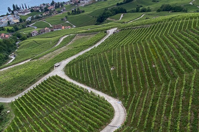 Vine Stories: Lavaux & Lutry wine walk - Hosted tastings: how this tour makes wine feel understandable