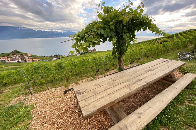 Vine Stories: Lavaux & Lutry wine walk - Grandvaux on foot: what the hike actually feels like