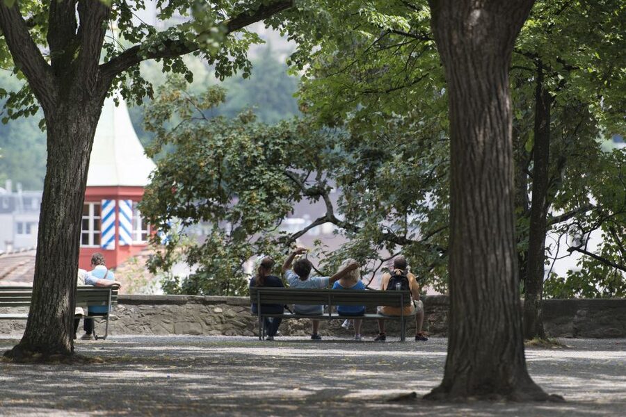 Walking Tour with the Night Watchman - German-Language Guidance, and How to Prepare
