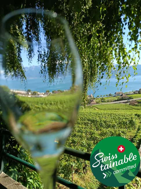 Wine tour in the canton of Vaud - Lavaux vineyards - Key things you should know before you go