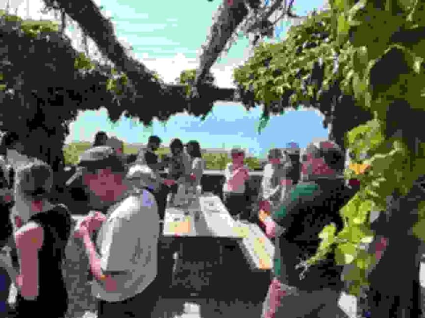 Wine tour in the canton of Vaud - Lavaux vineyards - The 13-Wine Tasting Across Vaud’s Six Regions