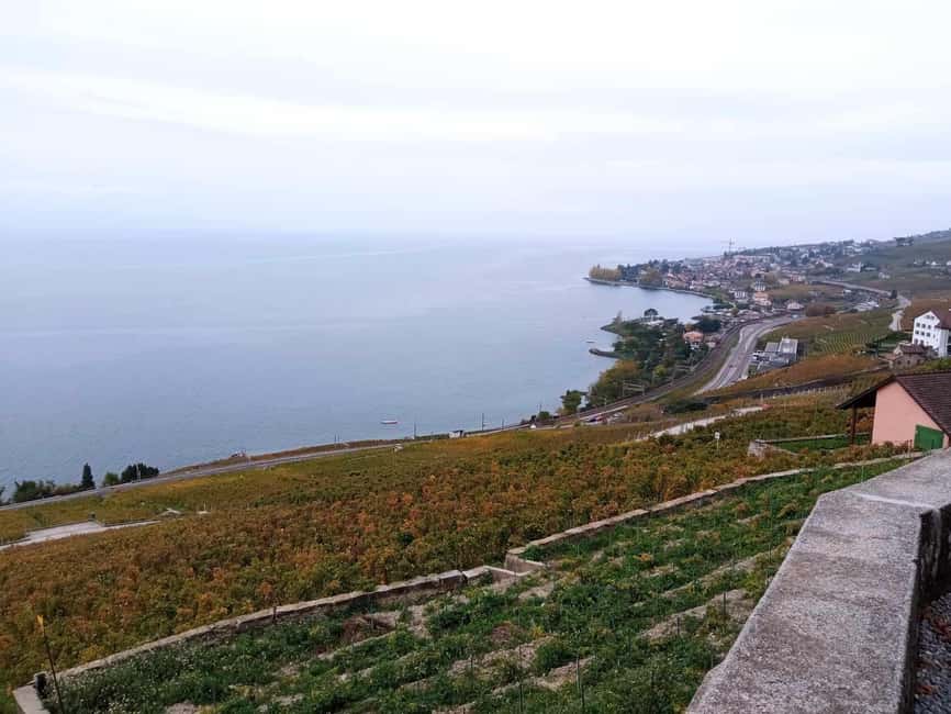 Wine tour in the canton of Vaud - Lavaux vineyards - Price and logistics: is $322 good value here?