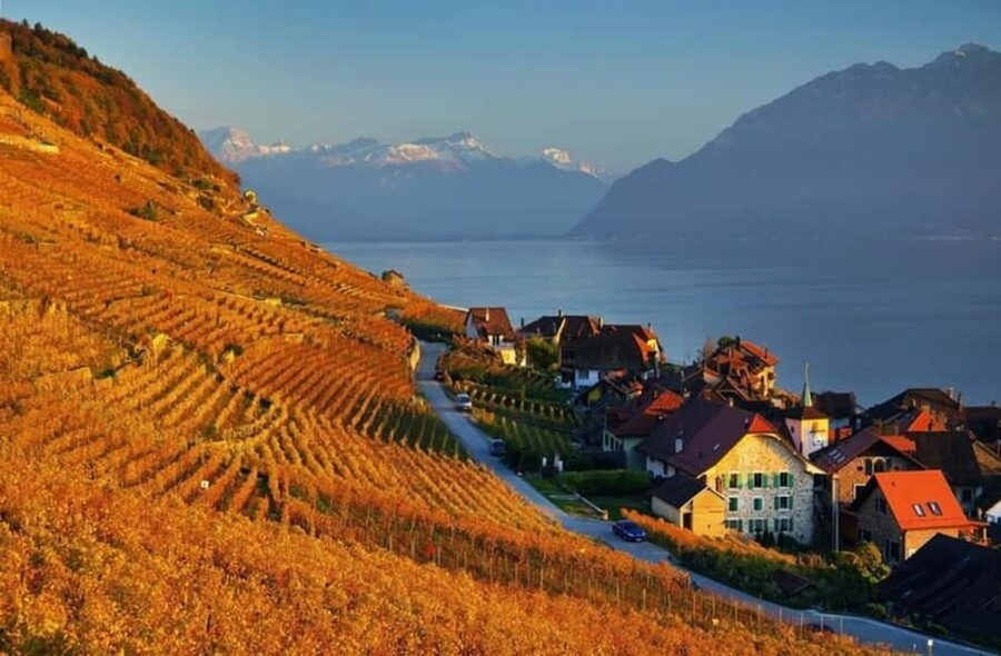 Wine tour in the canton of Vaud - Lavaux vineyards - Small-group touring with Helvetica itinerantur and English hosts