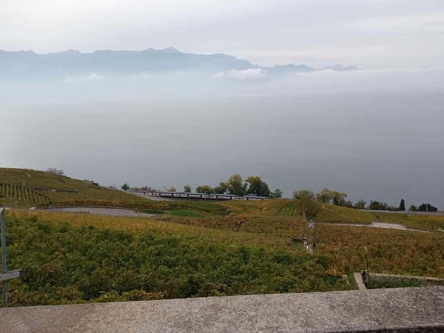 Wine tour in the canton of Vaud - Lavaux vineyards - Who should book this Lavaux wine day