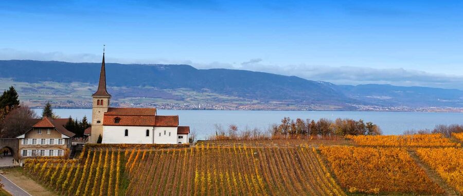 Wine tour in the canton of Vaud - Lavaux vineyards - Vineyard Villages of Epesses, Lutry, and Saint-Saphorin