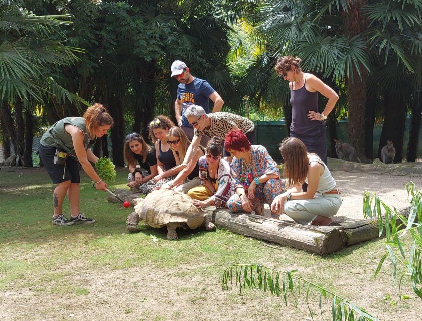 Zoo al Maglio: 1-Day Ticket for the Jungle of Ticino - Picnic time by the African lions, plus the kind of break kids like