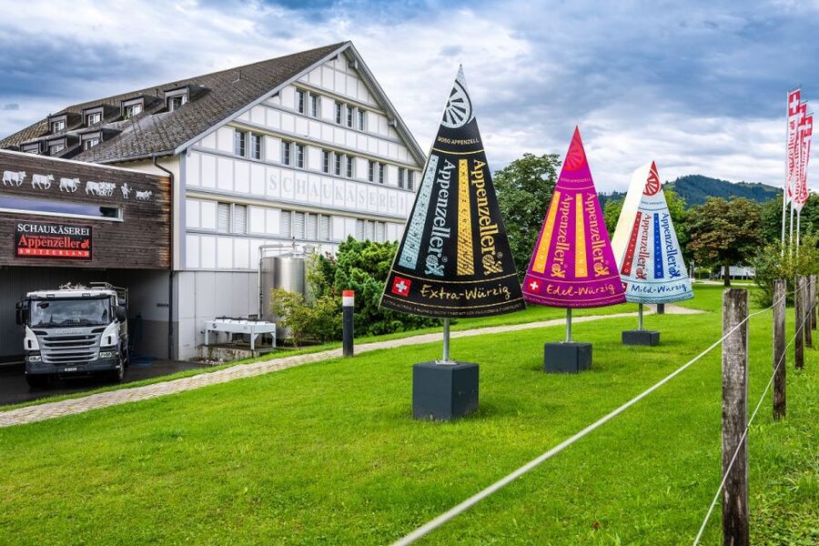Zurich: Appenzell Day Trip with Farm Visit & Cheese Tasting - The Lake Zurich and Rapperswil drive, your scenic warm-up