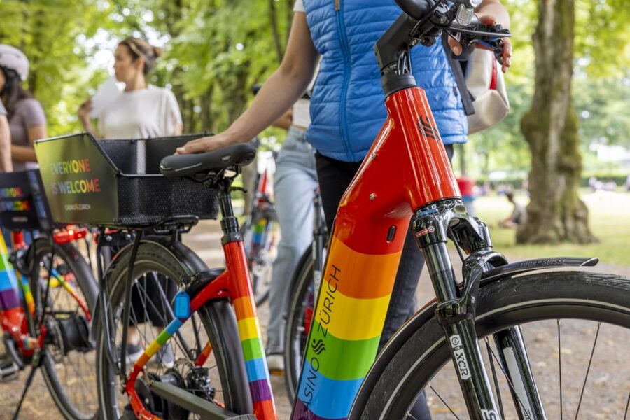Zurich: E-Bike City Tour - Price and What Makes This Feel Like Value at About $32