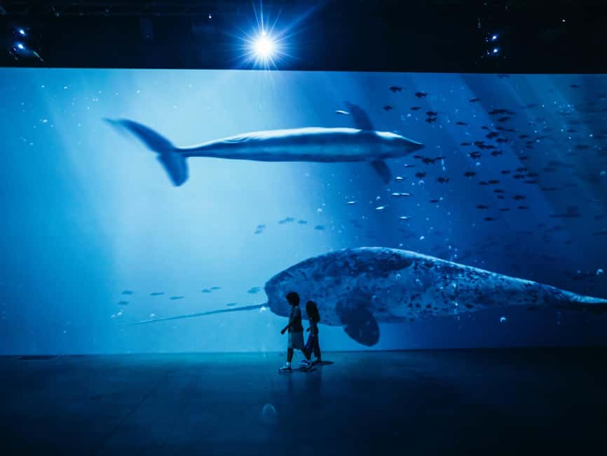 Zurich: Entrance ticket to the "Titanic" immersive exhibition at Lichthalle Maag - The musicians’ last moments in surround sound, where the emotion becomes physical