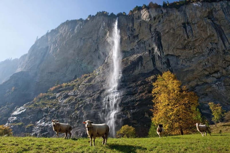 Zurich: Grindelwald, Interlaken & Lauterbrunnen Day Trip - Interlaken Stop: Quick Orientation, Real Alpine Edge