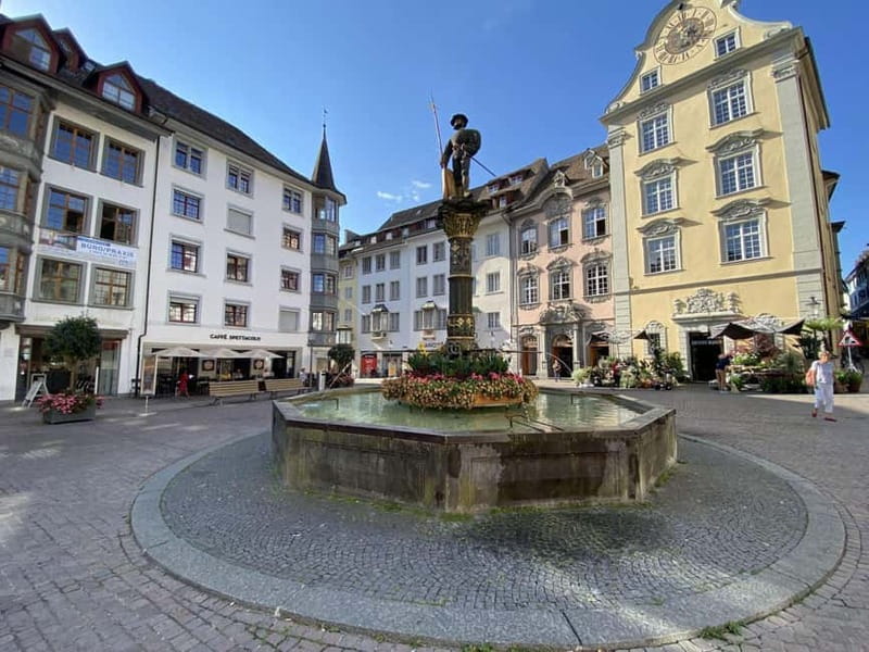 Zurich: Half-Day Trip to Rhine Falls & Historic Schaffhausen - Rhine Falls Viewing Platforms: How to Get the Best Mist and Photos