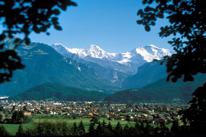 Zurich: Interlaken & Harder Kulm Small Group Tour - Meeting point and start time, plus how to avoid the usual day-trip chaos