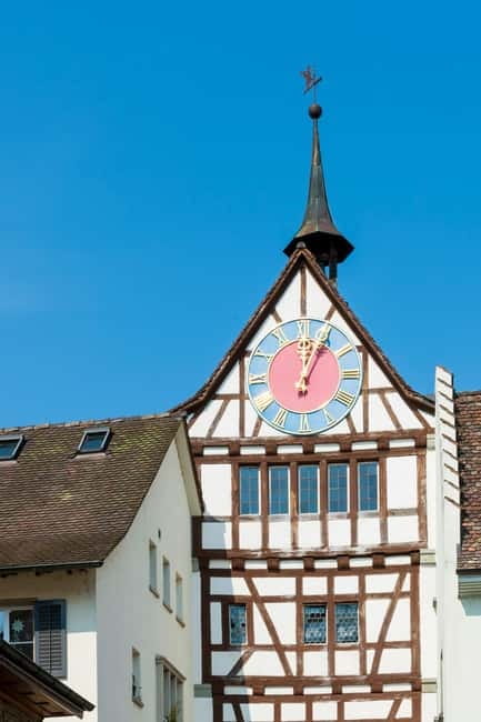 Zürich/Lucerne: Rhine Falls, Titisee & Black Forest Day Trip - Schluchsee: A Short Forest Breather
