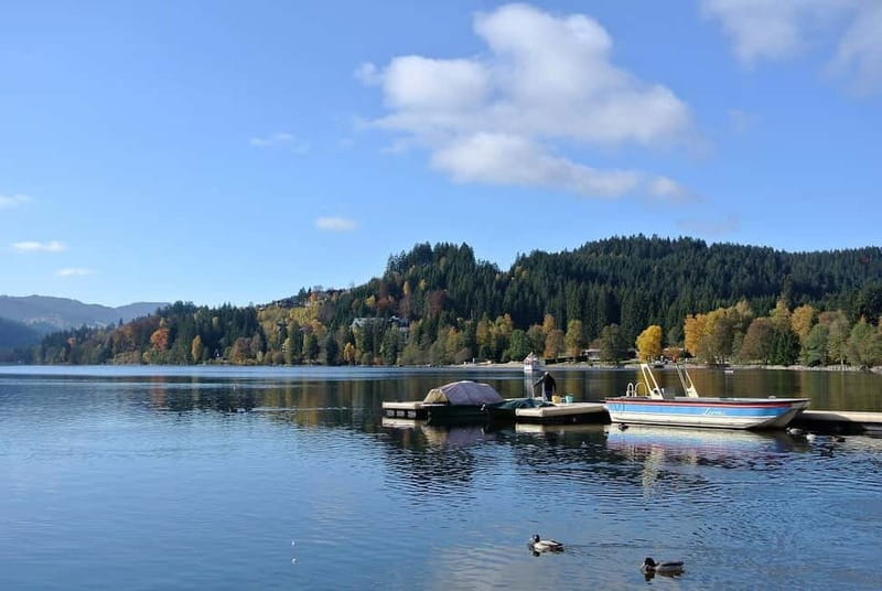 Zürich/Lucerne: Rhine Falls, Titisee & Black Forest Day Trip - The Scenic Drive Toward Rhine Falls (And Why the Timing Matters)
