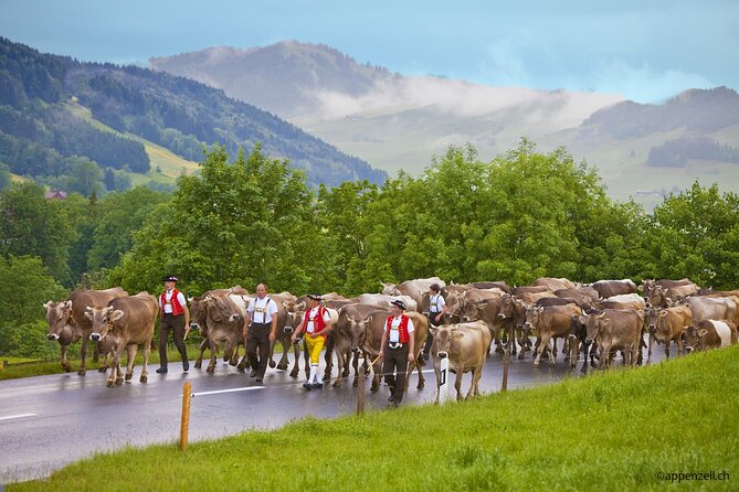 Zurich Open Top Bus, Chocolate and Cheese Factory Tour Appenzell - Zurich by Red Open-Top Bus, the Orientation You Want First