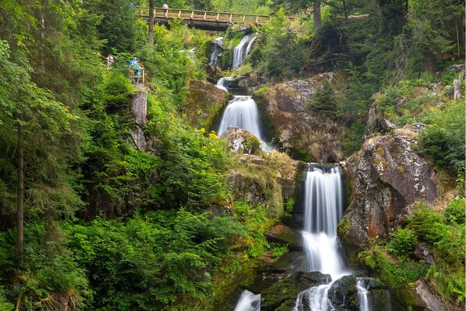 Zürich: Private Car Tour to Rhine Falls, Titisee and Black Forest - Stop 7: Schluchsee, a shorter picture-and-breathe stop