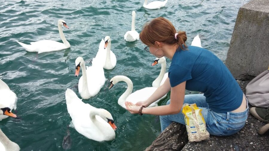 Zurich: Private Walking Tour with a Local Guide - Hidden secrets that make the walk feel like a real local day