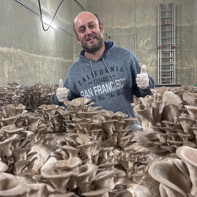 Zurich's best-kept secret: the hidden world of mushrooms! - Hands-On Moments: Touch, Smell, and Taste on Site