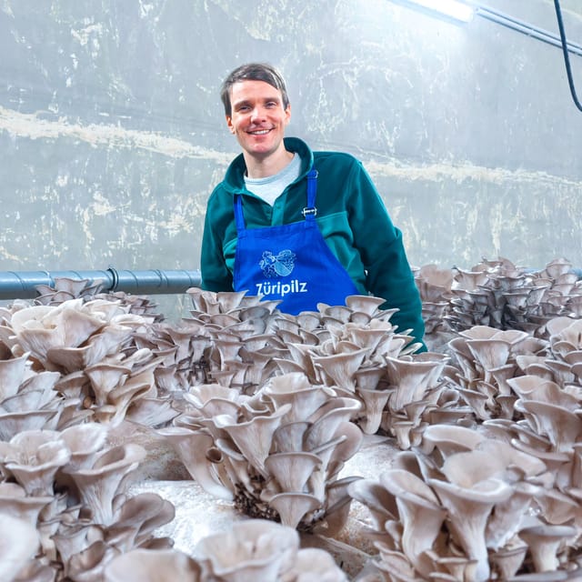 Zurich's best-kept secret: the hidden world of mushrooms! - The Zurich Organic Story Behind Züripilz GmbH