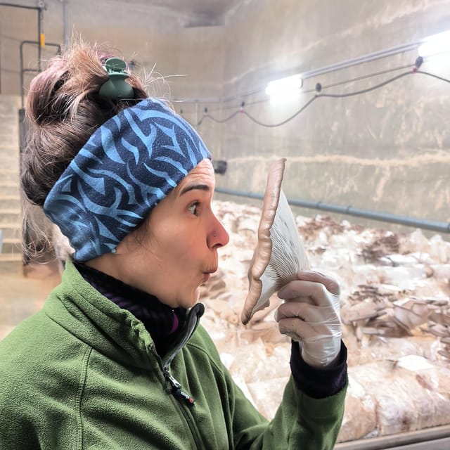 Zurich's best-kept secret: the hidden world of mushrooms! - Taking Home Fresh Mushrooms and a Grow Box