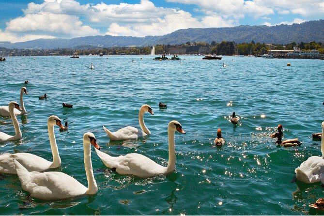 Zurich with Cruise and Lindt Home of Chocolate Private tour - Private Tour Comfort: Hotel Pickup and Name-Sign Meetups